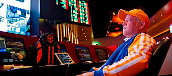 Вход на зеркало Grizzly Casino